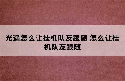 光遇怎么让挂机队友跟随 怎么让挂机队友跟随